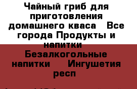 Чайный гриб для приготовления домашнего кваса - Все города Продукты и напитки » Безалкогольные напитки   . Ингушетия респ.